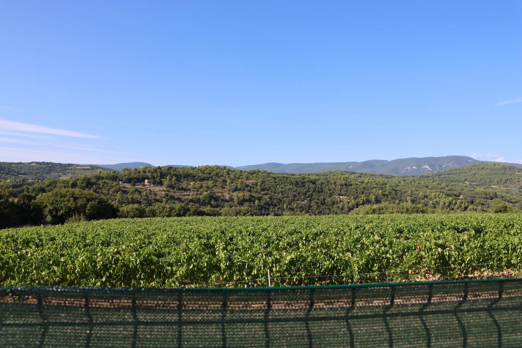 Les Vignes Du Luberon Apartment Saignon Exterior photo